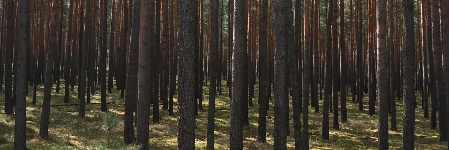 themattweets's profile banner image