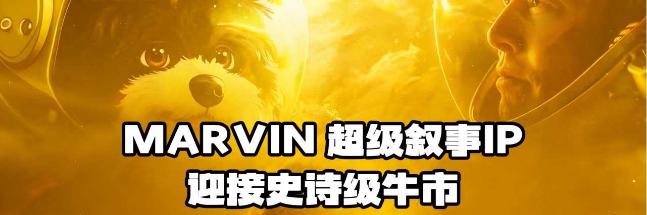 盲道。 banner