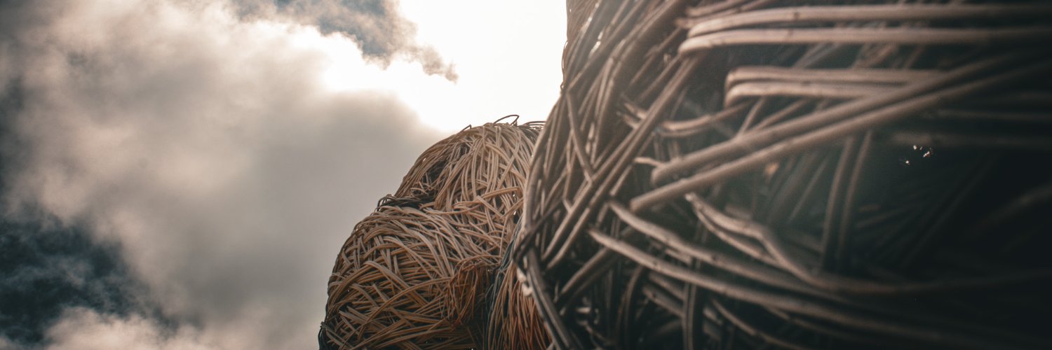 lerphius's profile banner image