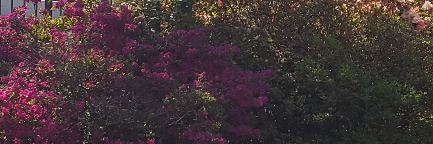 anaz320's profile banner image