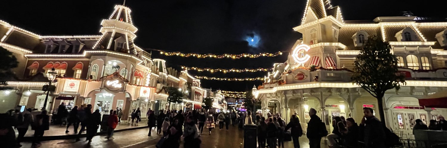 りょーこ🇩🇪🇯🇵Physio banner