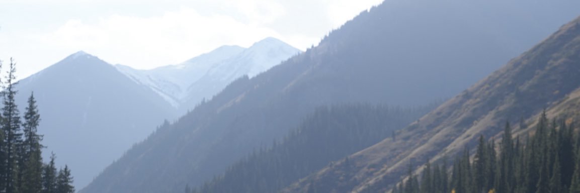 Kyle Vergara banner
