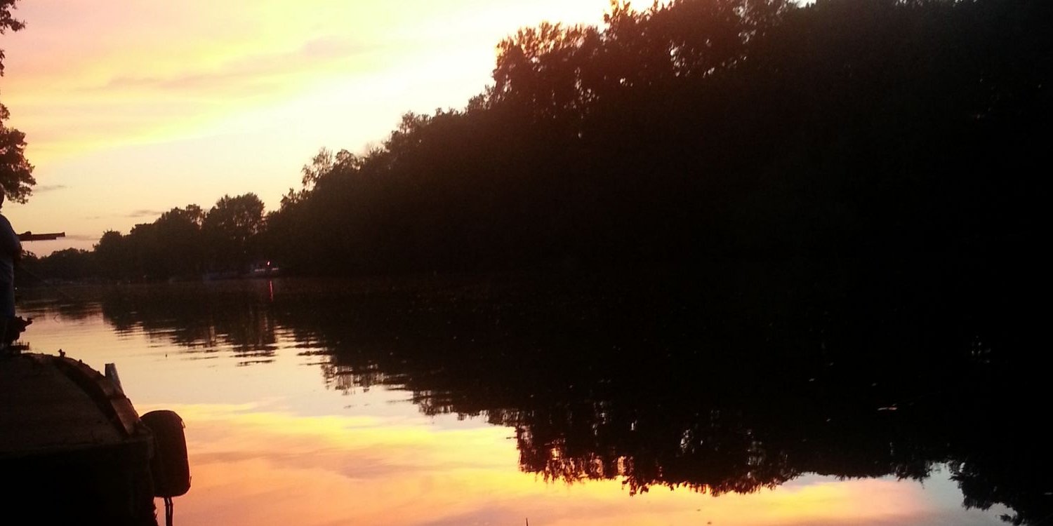 rtarlton4's profile banner image