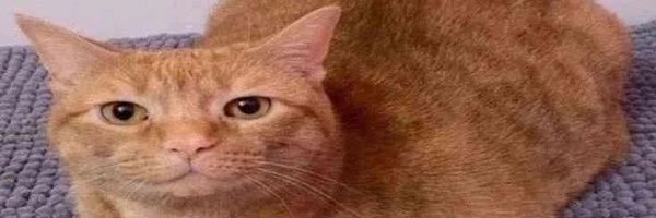 ___MaSan___ Profile Banner