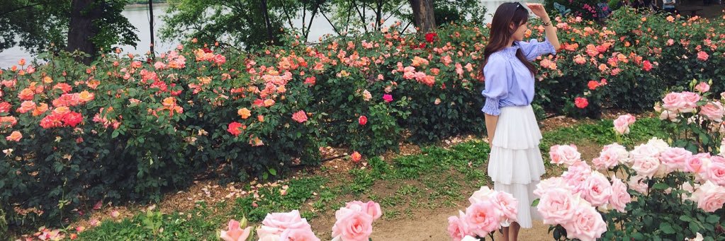 백다은❤️ banner