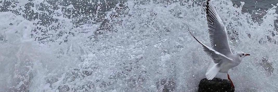 abooore_5's profile banner image