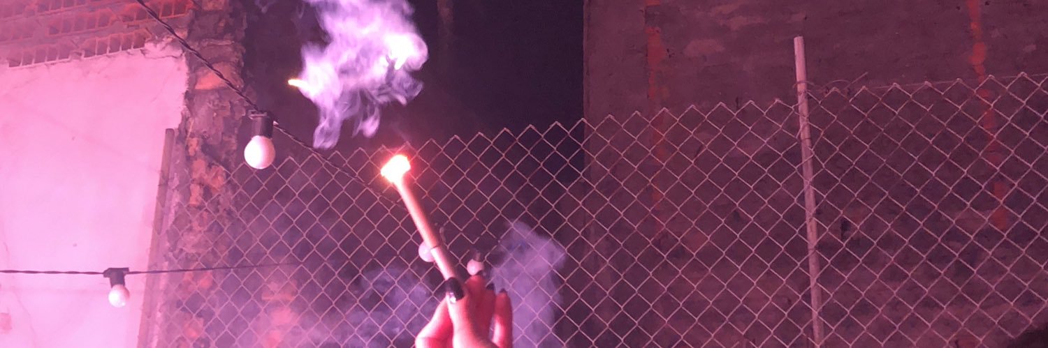 didoidog's profile banner image