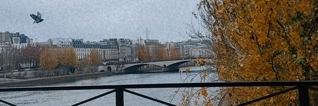 martfgon's profile banner image