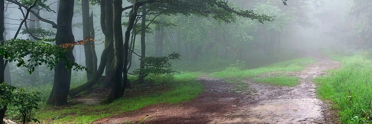 🇨🇿🇺🇦🇮🇱Ivo Brabec 🚑🐕🐱 banner