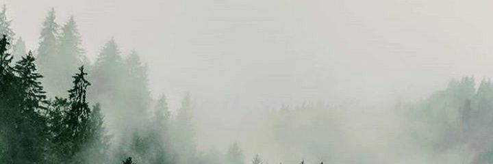 esabellatan's profile banner image