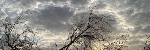 vnms_v Profile Banner