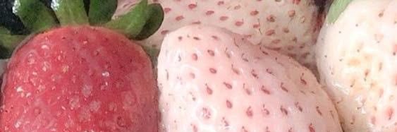 karinyannm's profile banner image