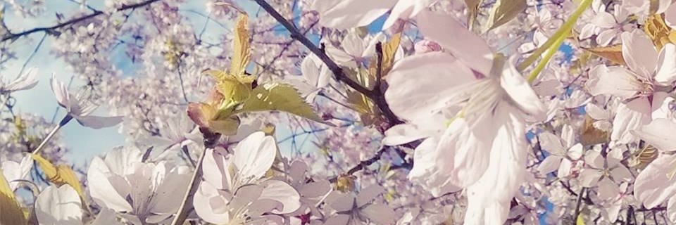 Juttaahh's profile banner image