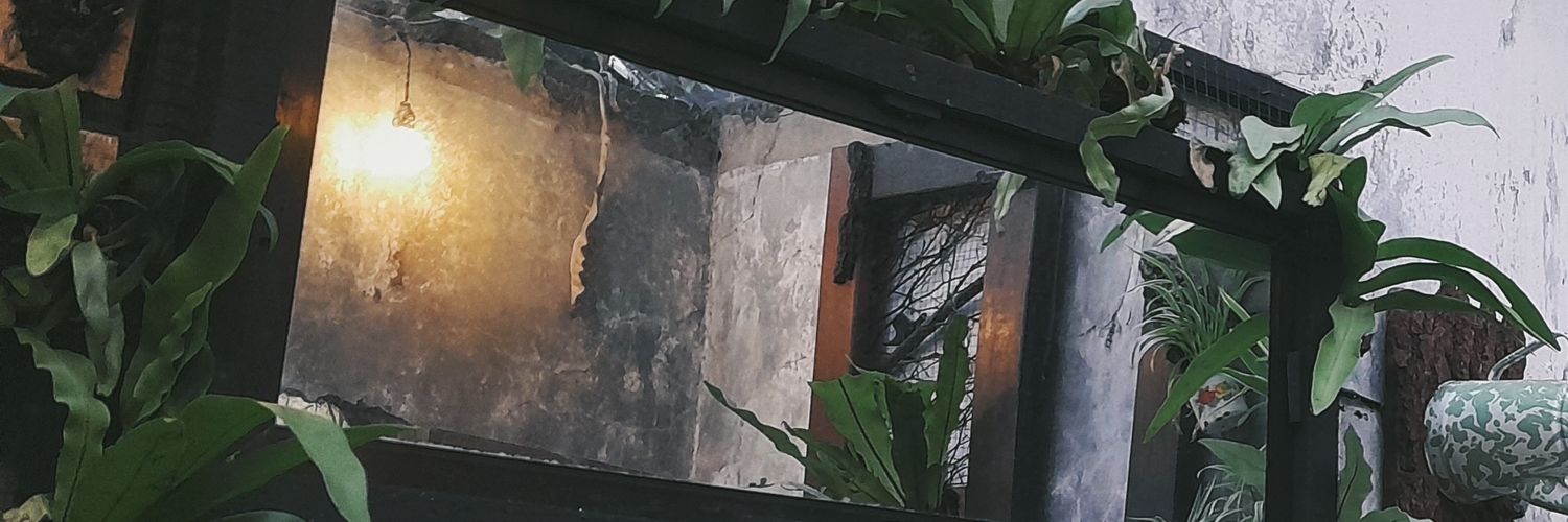 hasbwul's profile banner image