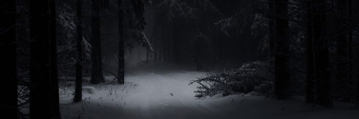 jenni está surtando 🗡 banner