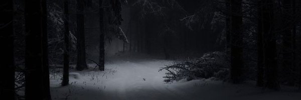 spiderxjen Profile Banner