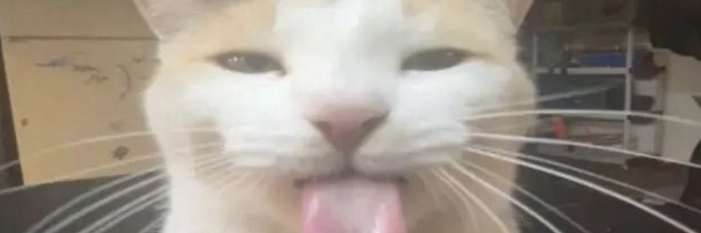 2021Bigode's profile banner image