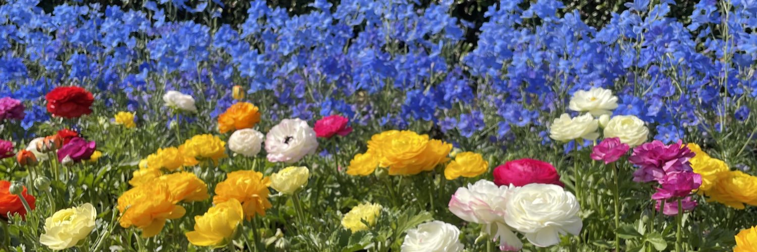 minmin29_urtmf's profile banner image