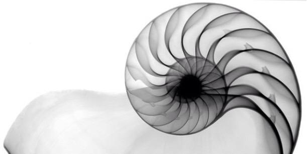 mindlessness's profile banner image
