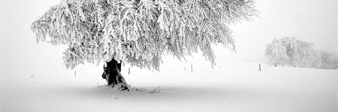 LoserMing's profile banner image