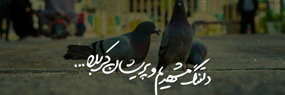 •امام‌رضایی‌امـ• banner