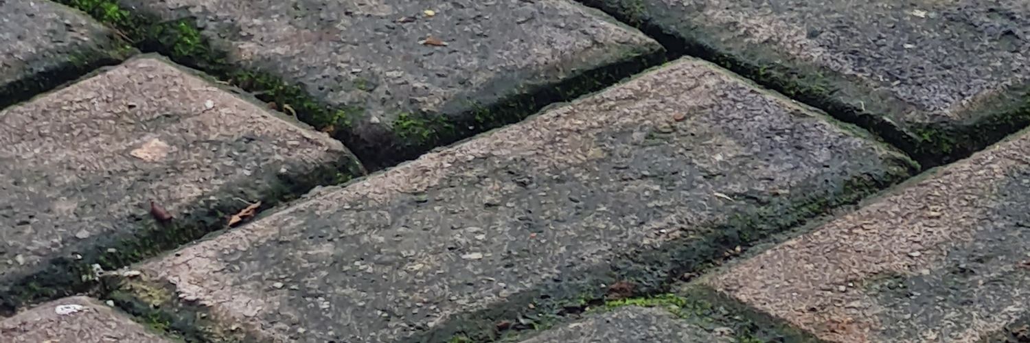 stuckonrey_'s profile banner image
