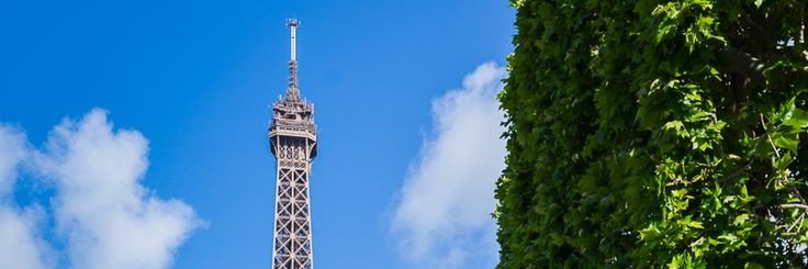 CfDd1234's profile banner image