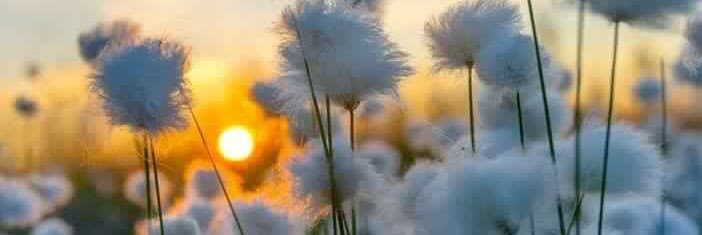 nihal_uslu's profile banner image