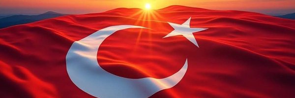 BerrinSergi Profile Banner