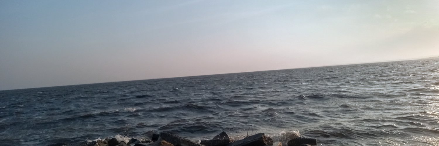 Danthemarvelous's profile banner image