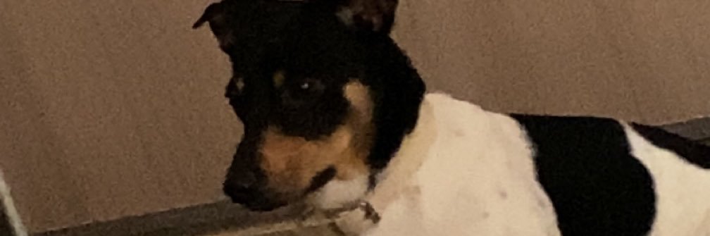 official_NiZ's profile banner image