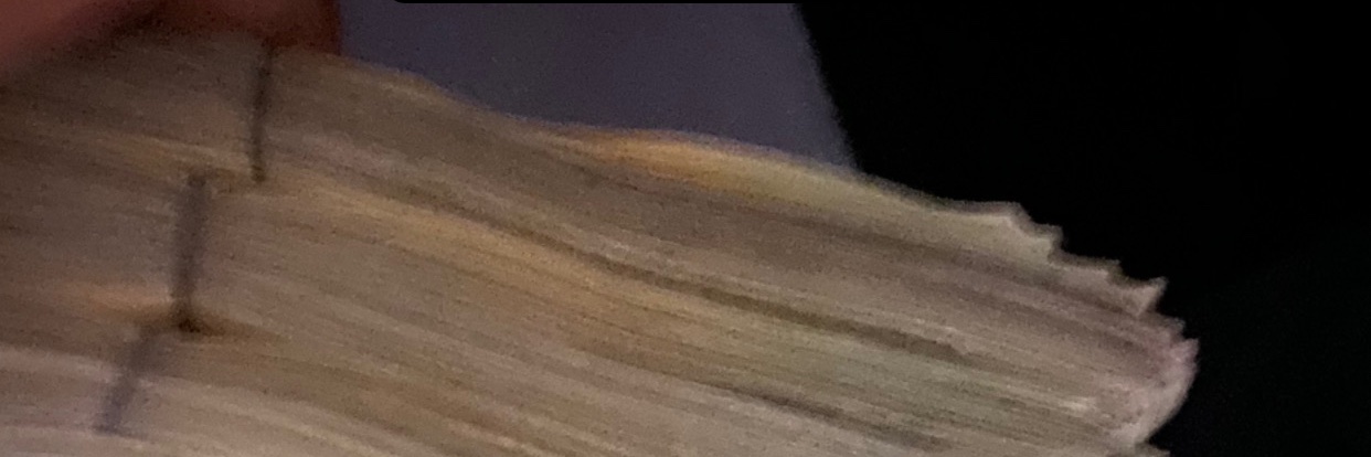 TheDickSheKrave's profile banner image