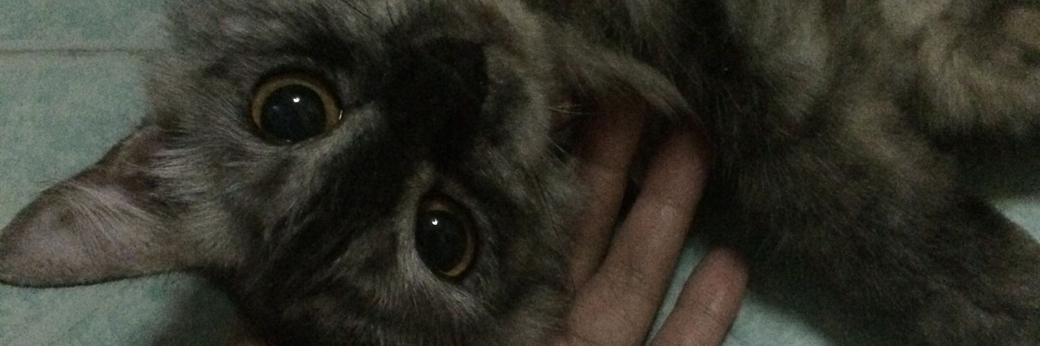 jjfv_'s profile banner image