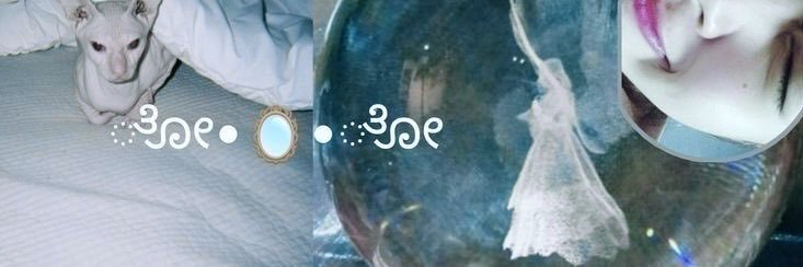 zosia ⊹ ࣪ ˖'s banner