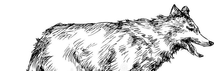 MarBdalslam's profile banner image
