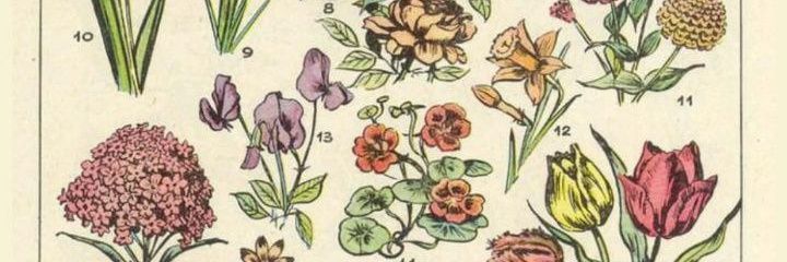 miguri__'s profile banner image