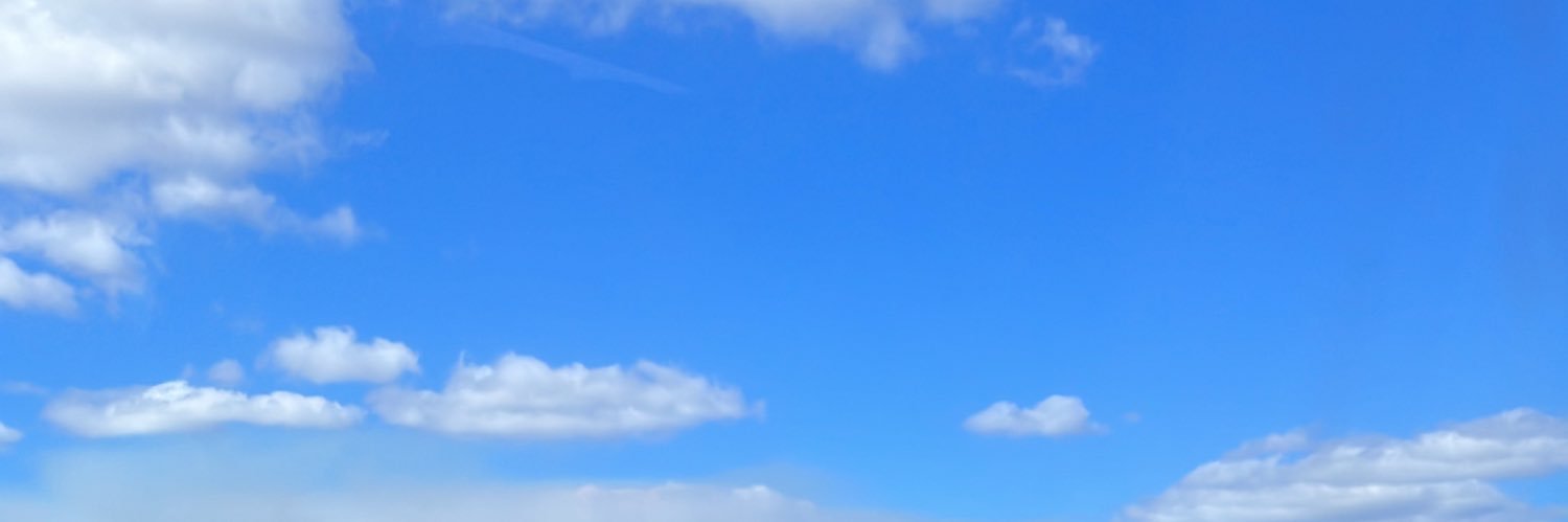 Moscow banner