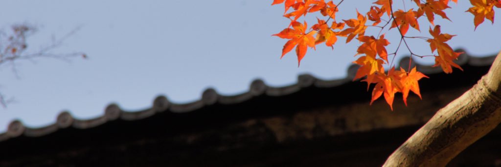 jef_take's profile banner image