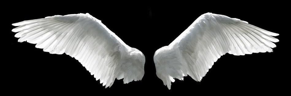 rwz0h's profile banner image