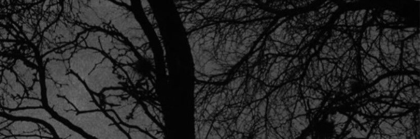 kei_oss's profile banner image
