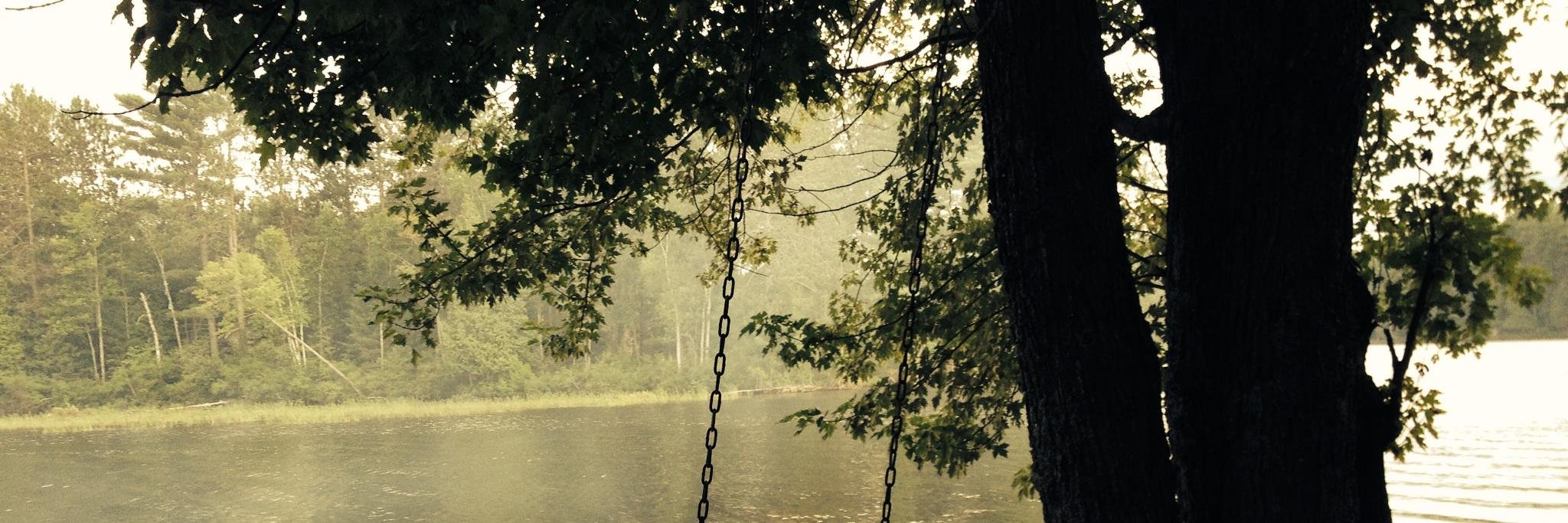 lindaforrest's profile banner image