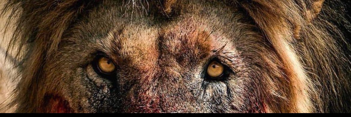 Hudson Manns ✟ banner