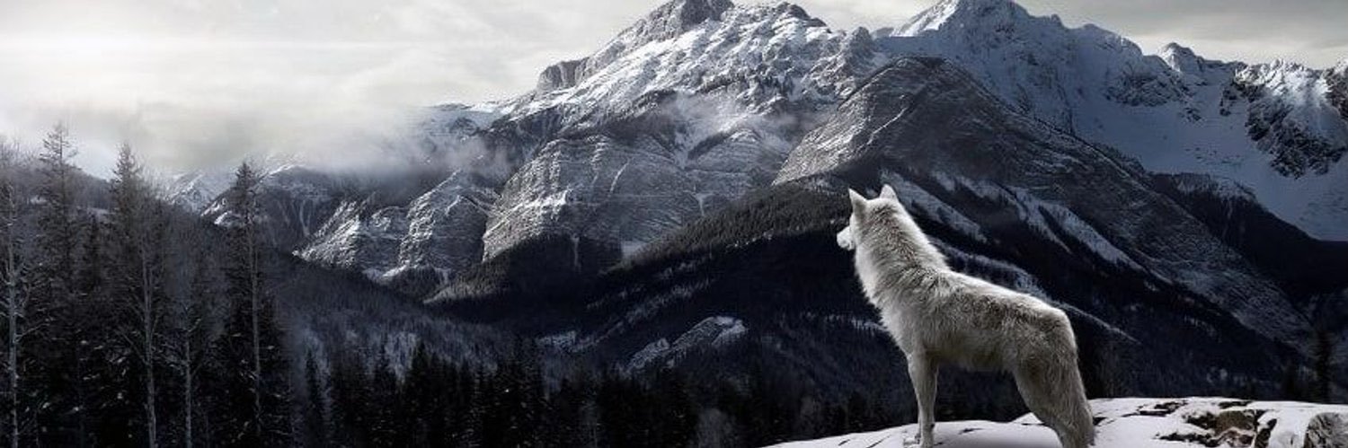 greywolf.eth banner