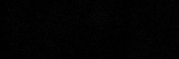 lcdffff Profile Banner