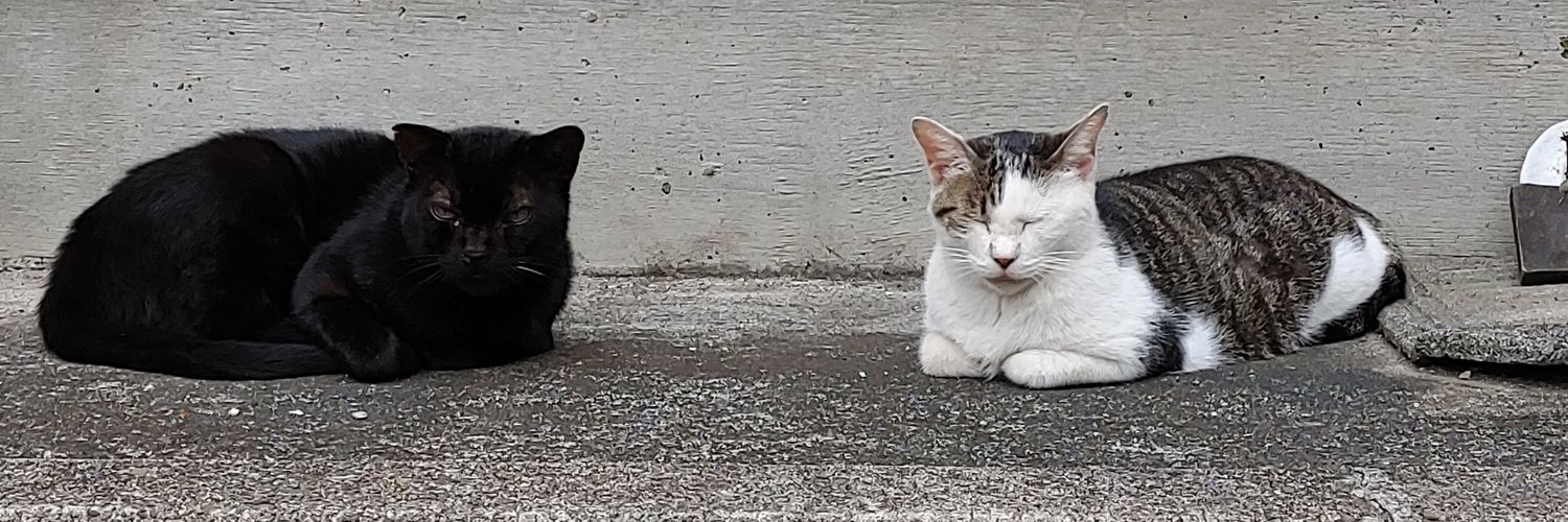 クロミーコ banner