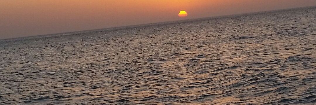 Fouad_Arar's profile banner image