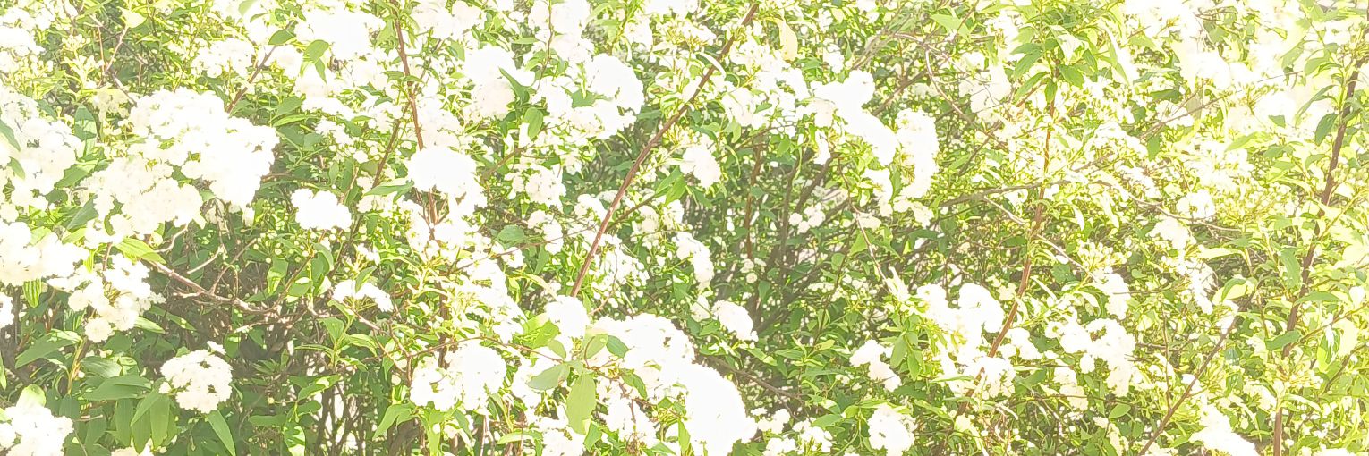 202ny_b's profile banner image