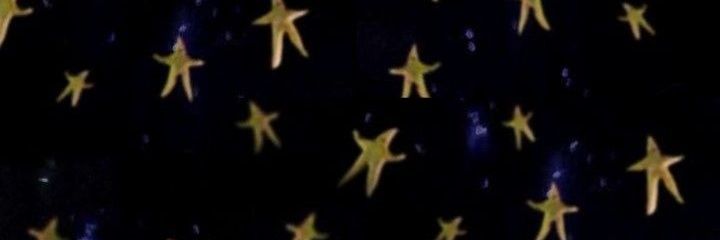 randomspamdumbs's profile banner image