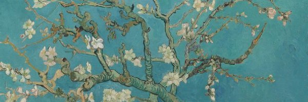 vgoghv 💹🧲 banner