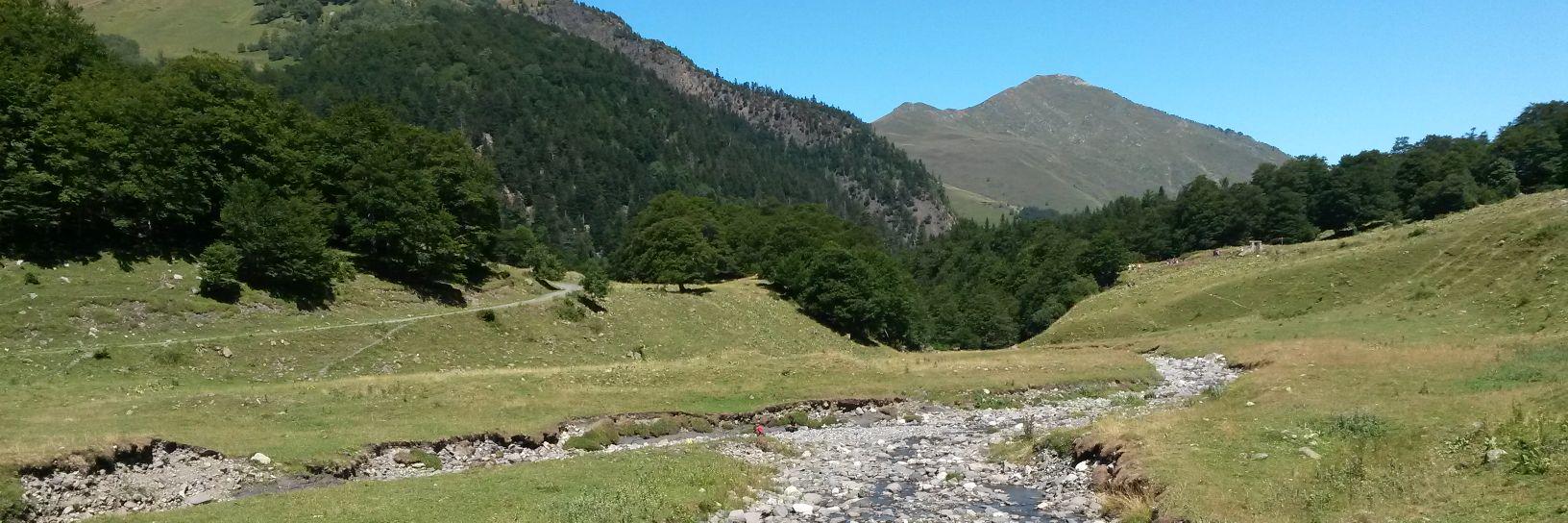 Gustavo ™️ banner